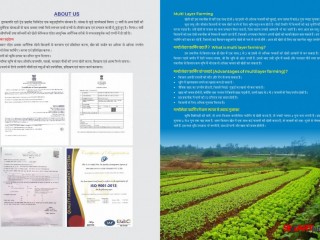 Organic vegetable contract farming herbal medicinal plants distributor in madhya pradesh chattisgarh | Dwarkapati Agri Trade Pvt Ltd