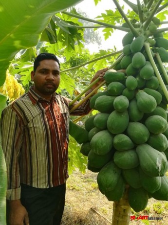 organic-vegetable-contract-farming-herbal-medicinal-plants-distributor-in-madhya-pradesh-chattisgarh-dwarkapati-agri-trade-pvt-ltd-big-6