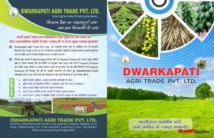 organic-vegetable-contract-farming-herbal-medicinal-plants-distributor-in-madhya-pradesh-chattisgarh-dwarkapati-agri-trade-pvt-ltd-big-1