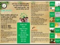 ayushi-construction-jabalpur-best-luxurious-residential-flats-in-jabalpur-ayushi-palm-greens-jabalpur-best-builder-and-developers-in-jabalpur-small-2