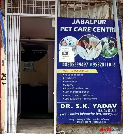 best-pet-care-center-in-jabalpur-best-dog-clinic-in-civil-line-jabalpur-pet-animal-doctor-in-jabalpur-big-3