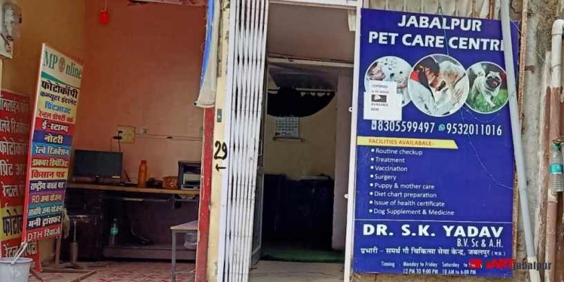 BEST PET CARE CENTER IN JABALPUR | BEST DOG CLINIC IN CIVIL LINE...
